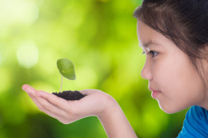 A girl holding a seedling in hand