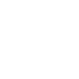seasonal safety icon
